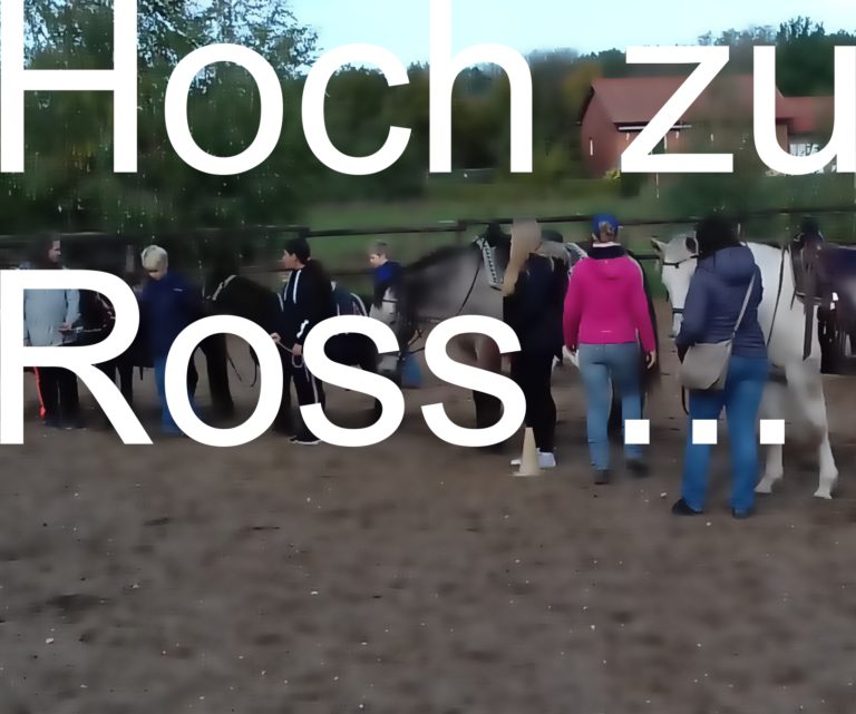 Read more about the article Hoch zu Ross…