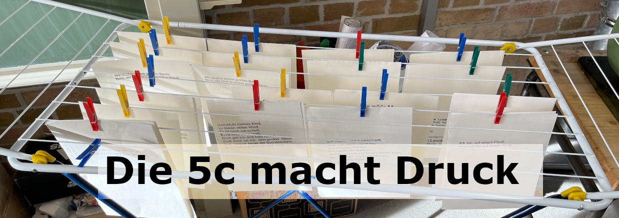 Mehr über den Artikel erfahren AUTORENWERKSTATT IM GYMNASIUM JESSEN – DIE 5C MACHT DRUCK