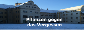 Read more about the article Pflanzen gegen das Vergessen