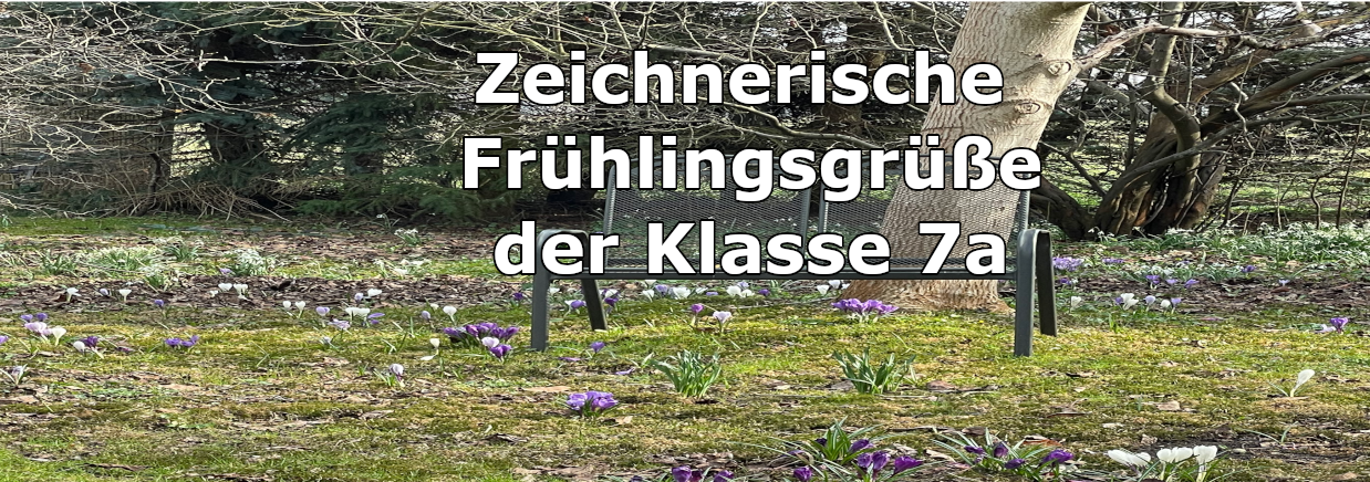 Read more about the article Zeichnerische Frühlingsgrüße der Klasse 7a