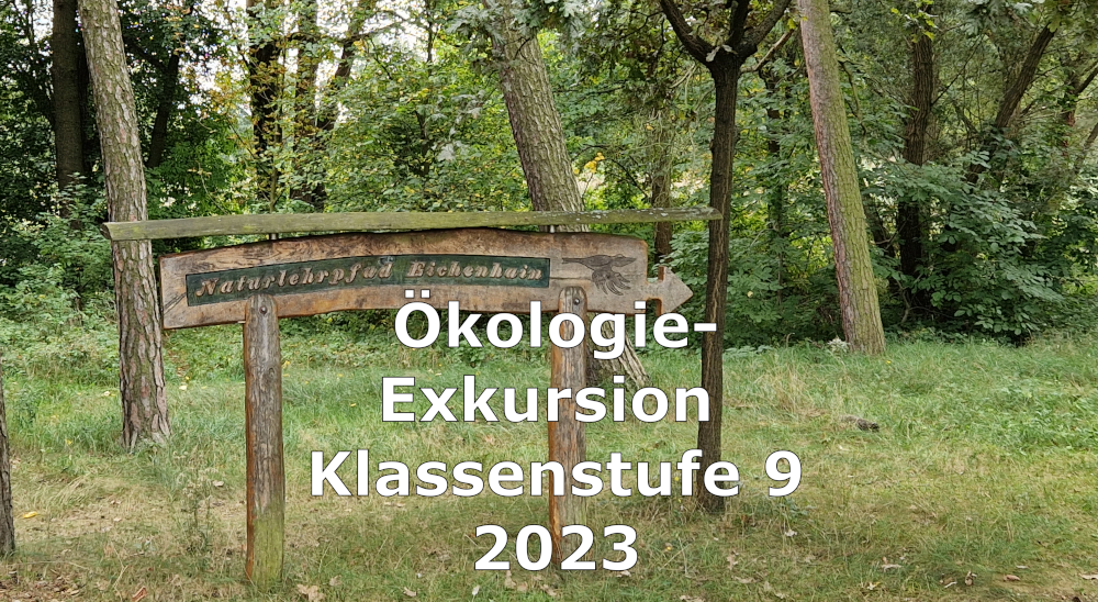 You are currently viewing Öko-Exkursion 2023