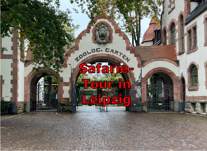 You are currently viewing Auf Safari – Tour durch den Leipziger Zoo